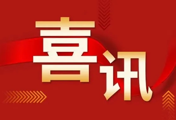 国网甘肃省电力公司2024年第一次配网物资协议库存公开招标采购中标人名单